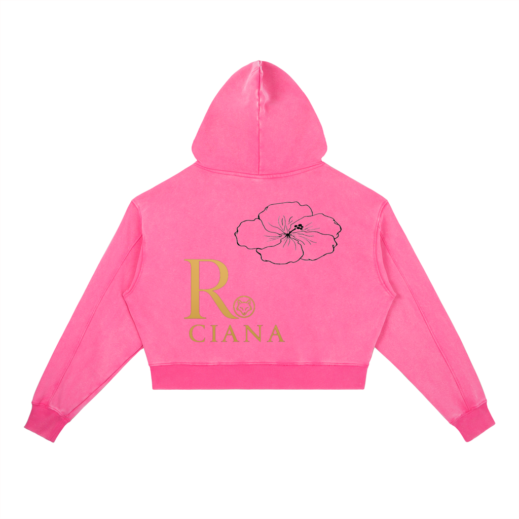 Vintage Washed Heavyweight Hoodie R.Ciana