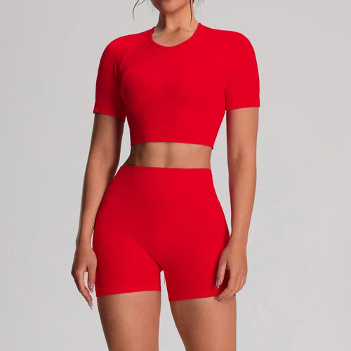 2pcs/sets Yoga Sport T-shirts Shorts Set Sportswear Woman Gym Seamless