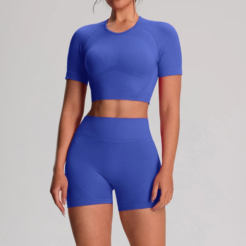 2pcs/sets Yoga Sport T-shirts Shorts Set Sportswear Woman Gym Seamless